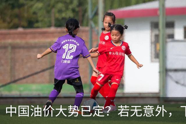 中国油价大势已定？若无意外，下个月起燃油车主或要直面3个现实