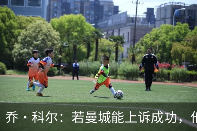 乔·科尔：若曼城能上诉成功，他们比阿森纳更有希望夺得英超冠军