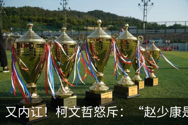 又内讧！柯文哲怒斥：“赵少康是绿营奸细”后，向郑丽文交底