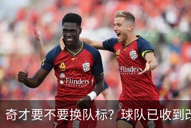 奇才要不要换队标？球队已收到改版请求，球迷投票定夺