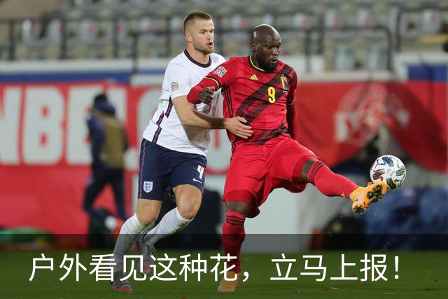 户外看见这种花，立马上报！