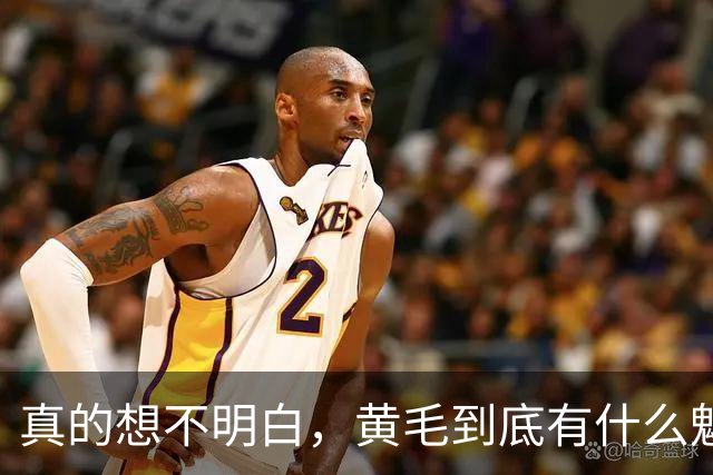 真的想不明白，黄毛到底有什么魅力？网友回答太真实了！