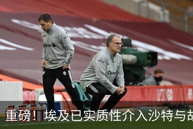 重磅！埃及已实质性介入沙特与胡塞武装的冲突