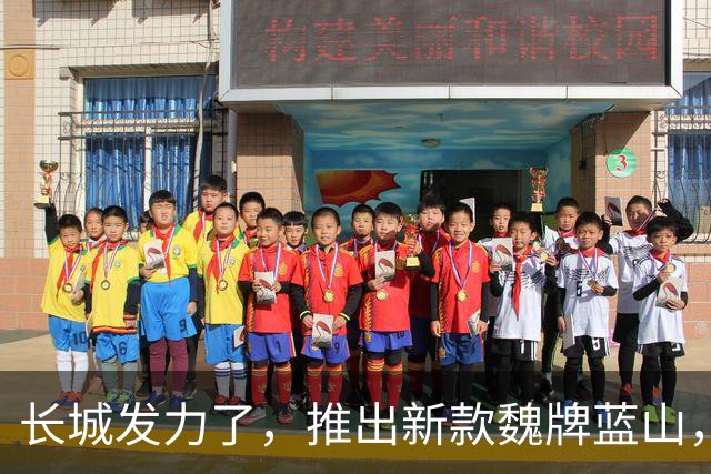 长城发力了，推出新款魏牌蓝山，售价可能35万左右？