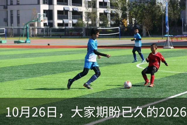 10月26日，大家期盼已久的2026退休养老金，究竟涨还是不涨？